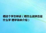 棲這個(gè)字怎樣讀（棲怎么讀拼音是什么字 棲字簡單介紹）