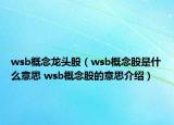 wsb概念龍頭股（wsb概念股是什么意思 wsb概念股的意思介紹）