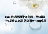 emo網絡用語什么意思（網絡語emo是什么意思 網絡語emo的意思）