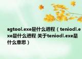 sgtool.exe是什么進(jìn)程（teniodl.exe是什么進(jìn)程 關(guān)于teniodl.exe是什么意思）