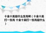 十全十美是什么生肖啊（十全十美打一生肖 十全十美打一生肖是什么）