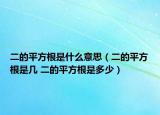 二的平方根是什么意思（二的平方根是幾 二的平方根是多少）