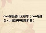 con前綴是什么意思（con是什么 con的多種意思科普）