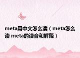 meta用中文怎么讀（meta怎么讀 meta的讀音和解釋?zhuān)? /></span></a>
                        <h2><a href=