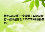 數(shù)字13579打一個成語（1256789打一成語是什么 1256789成語的意思）