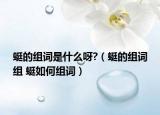 蜓的組詞是什么呀?（蜓的組詞組 蜓如何組詞）