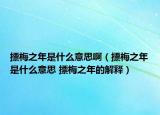 摽梅之年是什么意思?。〒棵分晔鞘裁匆馑?摽梅之年的解釋）