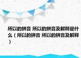 所以的拼音 所以的拼音及解釋是什么（所以的拼音 所以的拼音及解釋）