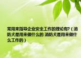 常用來指導(dǎo)企業(yè)安全工作的理論有?（消防犬是用來做什么的 消防犬是用來做什么工作的）