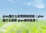 giao是什么意思網(wǎng)絡(luò)用語(yǔ)（giao是什么意思 giao是何意思）