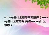 survey是什么意思中文翻譯（survey是什么意思呀 英語(yǔ)survey什么意思）