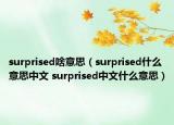 surprised啥意思（surprised什么意思中文 surprised中文什么意思）