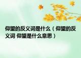 仰望的反義詞是什么（仰望的反義詞 仰望是什么意思）