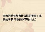 豐收的季節(jié)都有什么樣的景象（豐收的季節(jié) 豐收的季節(jié)是什么）