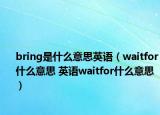 bring是什么意思英語（waitfor什么意思 英語waitfor什么意思）