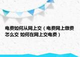 電費(fèi)如何從網(wǎng)上交（電費(fèi)網(wǎng)上繳費(fèi)怎么交 如何在網(wǎng)上交電費(fèi)）