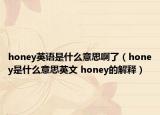 honey英語(yǔ)是什么意思啊了（honey是什么意思英文 honey的解釋?zhuān)? /></span></a>
                        <h2><a href=