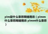 plm是什么意思網(wǎng)絡(luò)用語(yǔ)（plmm什么意思網(wǎng)絡(luò)用語(yǔ) plmm什么意思）