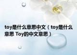 toy是什么意思中文（toy是什么意思 Toy的中文意思）