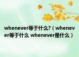 whenever等于什么?（whenever等于什么 whenever是什么）