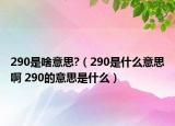 290是啥意思?（290是什么意思啊 290的意思是什么）