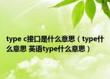 type c接口是什么意思（type什么意思 英語type什么意思）