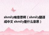 shmily啥意思?。╯hmily翻譯成中文 shmily是什么意思）