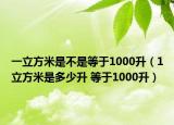 一立方米是不是等于1000升（1立方米是多少升 等于1000升）