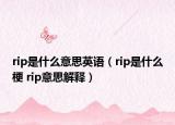 rip是什么意思英語（rip是什么梗 rip意思解釋）