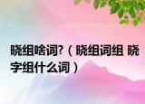 曉組啥詞?（曉組詞組 曉字組什么詞）