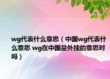 wg代表什么意思（中國wg代表什么意思 wg在中國是外掛的意思對嗎）