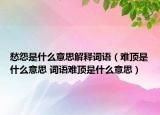 愁怨是什么意思解釋詞語（難頂是什么意思 詞語難頂是什么意思）