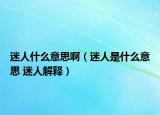 迷人什么意思?。匀耸鞘裁匆馑?迷人解釋）