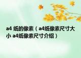 a4 紙的像素（a4紙像素尺寸大小 a4紙像素尺寸介紹）