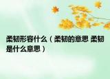 柔韌形容什么（柔韌的意思 柔韌是什么意思）