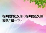 相似的的近義詞（相似的近義詞 簡單介紹一下）