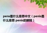 pens是什么意思中文（penis是什么意思 penis的解釋）