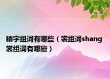 睛字組詞有哪些（裳組詞shang 裳組詞有哪些）