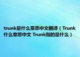 trunk是什么意思中文翻譯（Trunk什么意思中文 Trunk指的是什么）