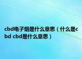 cbd電子煙是什么意思（什么是cbd cbd是什么意思）