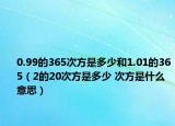 0.99的365次方是多少和1.01的365（2的20次方是多少 次方是什么意思）