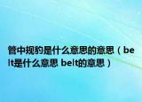 管中規(guī)豹是什么意思的意思（belt是什么意思 belt的意思）