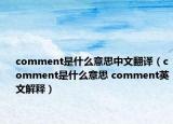 comment是什么意思中文翻譯（comment是什么意思 comment英文解釋）