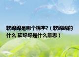 軟綿綿是哪個棉字?（軟綿綿的什么 軟綿綿是什么意思）