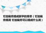 它加偏旁組成新字的意思（它加偏旁組詞 它加偏旁可以組成什么詞）