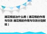 通花根能治什么?。ㄍɑǜ淖饔门c功效 通花根的作用與功效分別解說）