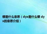 梗是什么意思（dyx是什么梗 dyx的意思介紹）