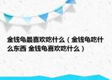 金錢龜最喜歡吃什么（金錢龜吃什么東西 金錢龜喜歡吃什么）