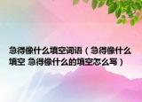 急得像什么填空詞語(yǔ)（急得像什么填空 急得像什么的填空怎么寫）