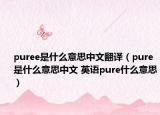 puree是什么意思中文翻譯（pure是什么意思中文 英語(yǔ)pure什么意思）